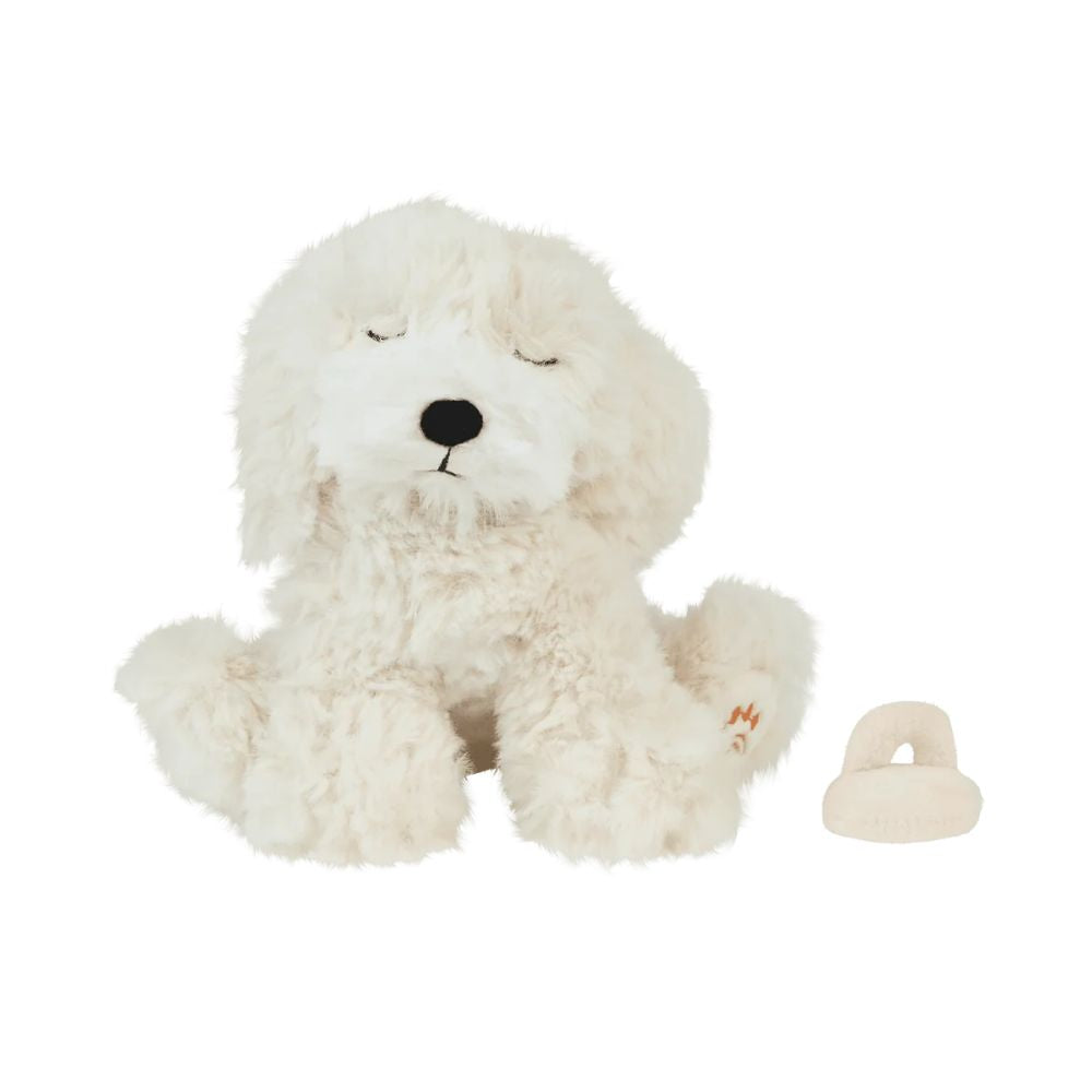 004d902da301784820314261c18d8237