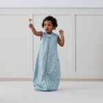 de6ee82ef5d5f861957de80ef09d4ca3