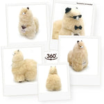 bdecddad2a53528a6b1438f71bfb8eb6