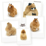 76e2b8184a05a119ef082fb4c3bcebb9