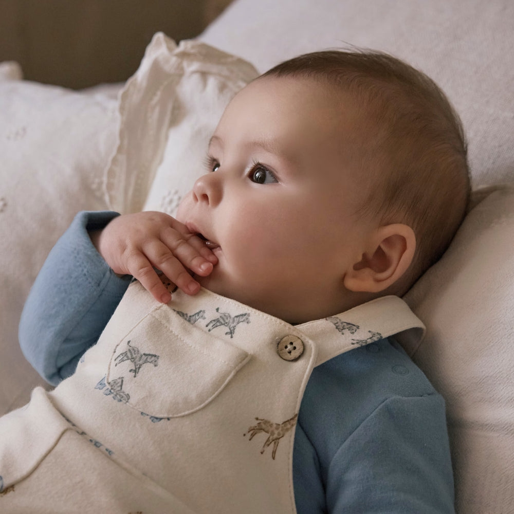 c8db39a071416cf91bb448332c983080