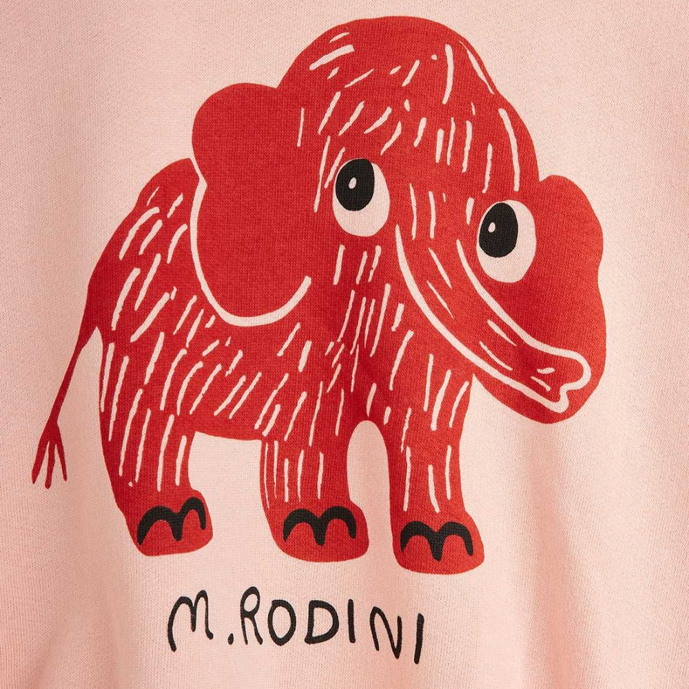 1719bff83675903a8a346484f4d2f80f