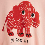 1719bff83675903a8a346484f4d2f80f