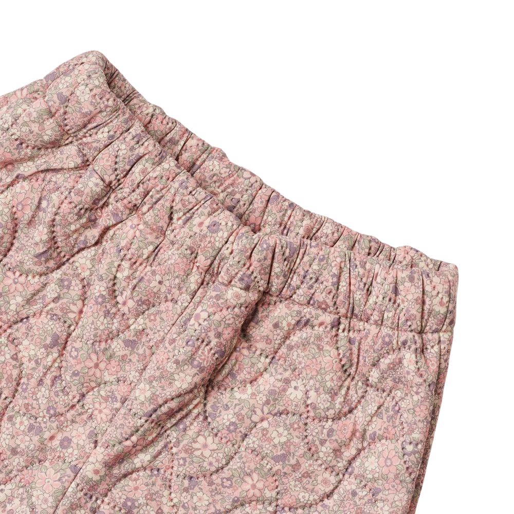 95eaa75cc2b55ea79ad18837b1de3351