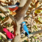 580bdb663c8e02f9ffca4345d6551453