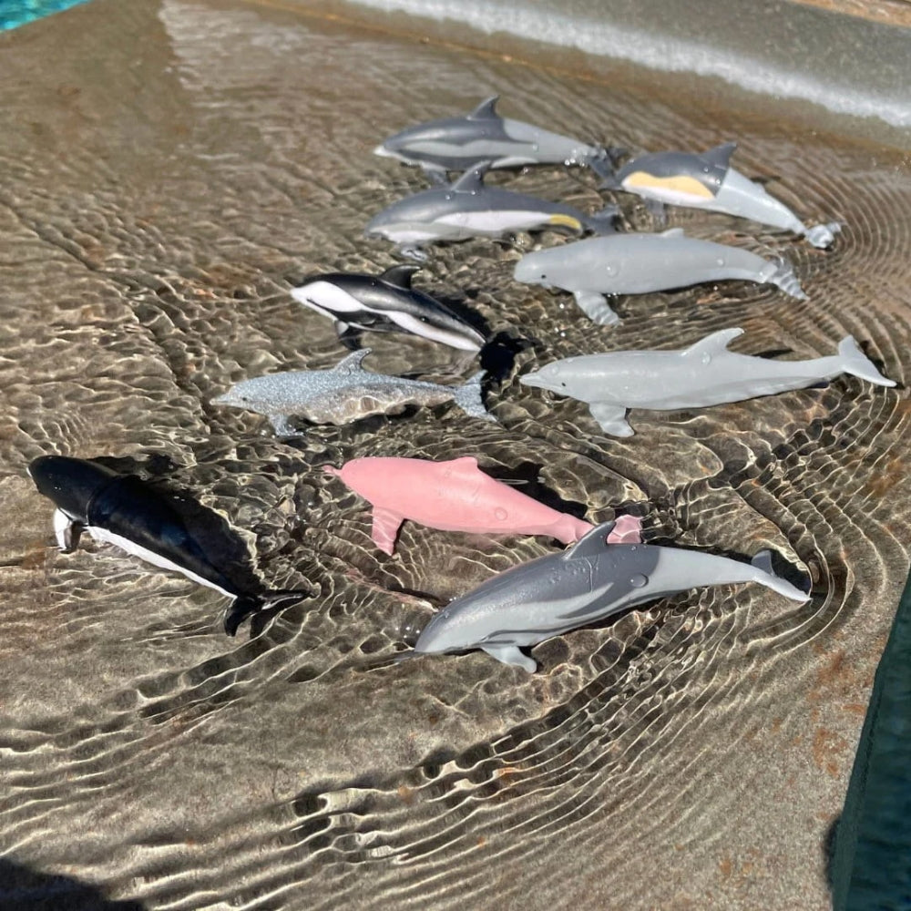 95822fec3a028735535904001abf04d0