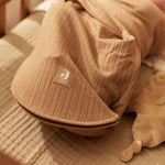 8abadca3d49648c9e31e1758ebaebedb