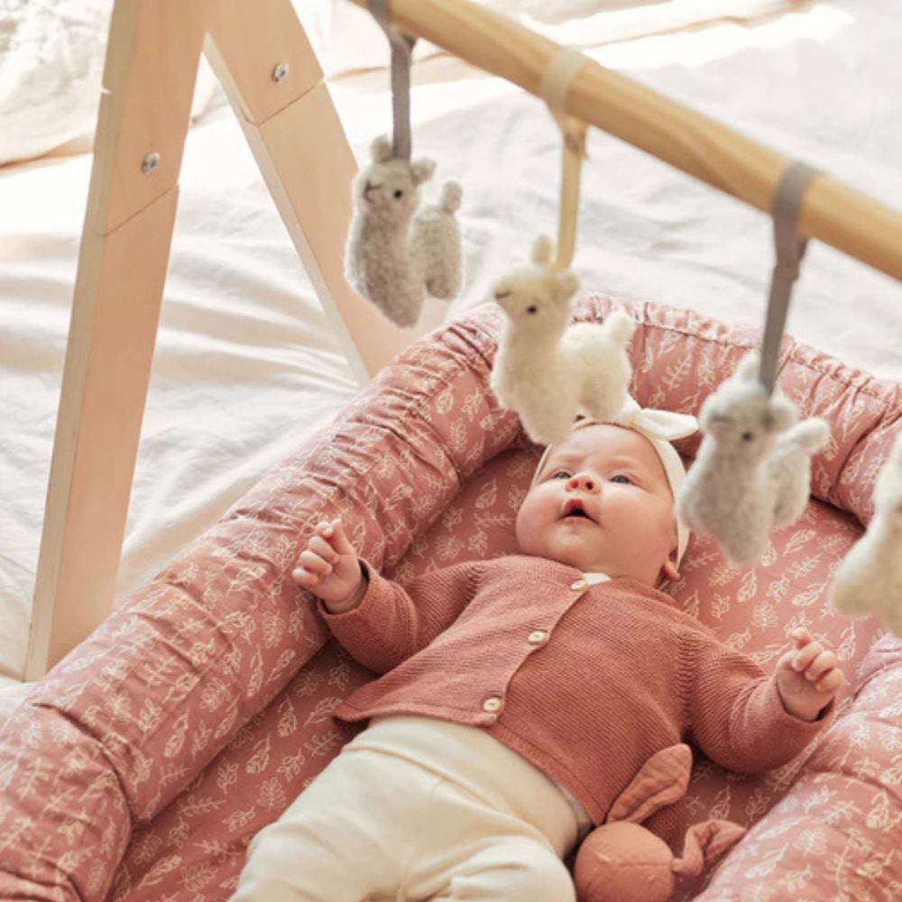 5a5cec34b93503c4590a71e88c8f2427