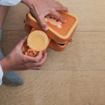 31648d311a4f98169049ac6636dcf385