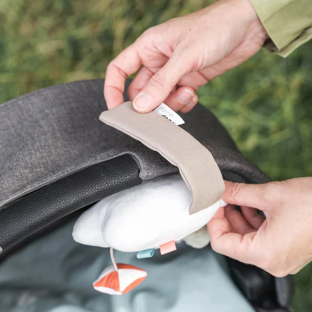 3f8b22231be0addad22bd031e9125e82