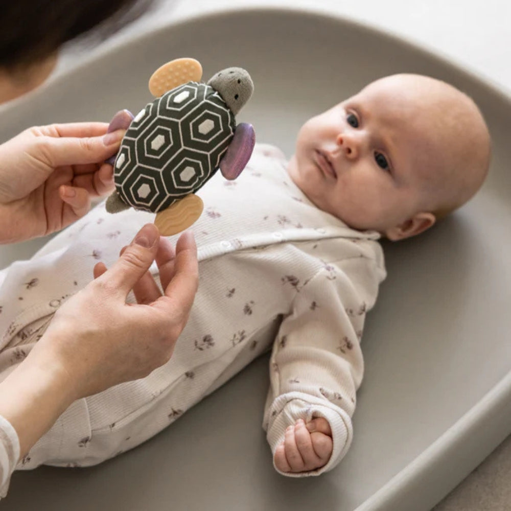 1cc0b9d7528fbb60107c3eff50d8b973