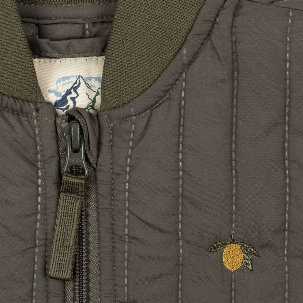 17b9d87cd4746a8d84c1faa03d3fd1f2