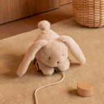 b463fe656b664d248394af9b0da785e5