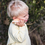 442451c4d70a53ed84fd237e068ab12b