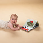 0ee93ec78bc2180a79c90cf78ce79ed1