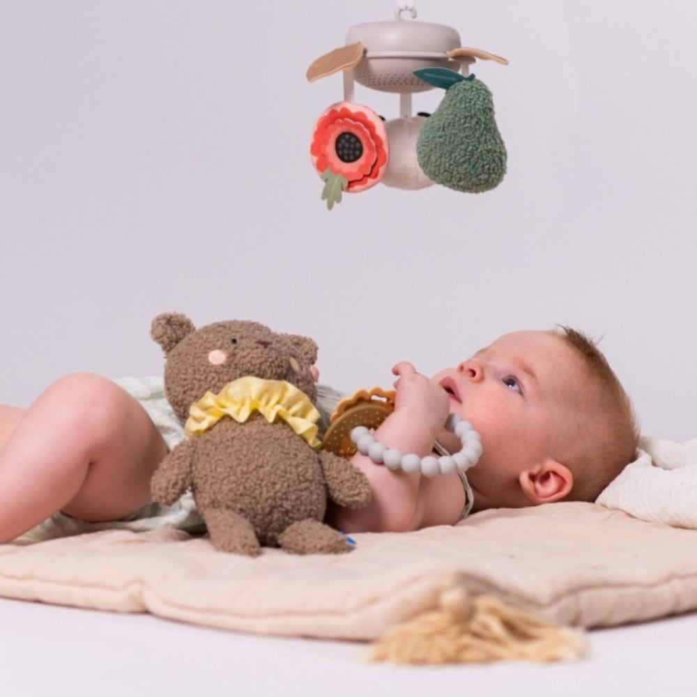 526ce7c8e0a20b9d04ff78220c894919