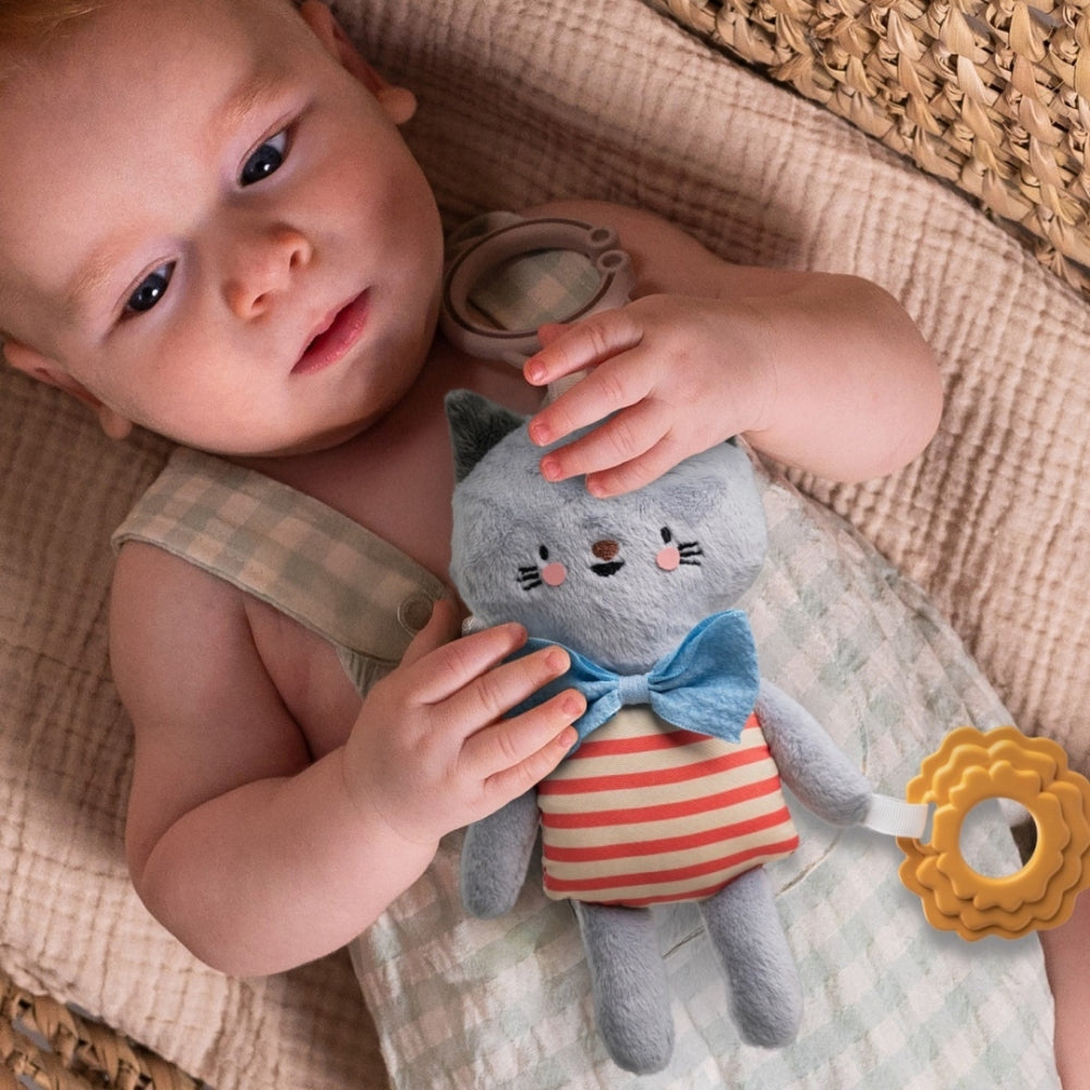 8aa8cd75e62104b08b44c171ccae807d