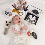 2e6569b973c32dd2ee205aa418e899e5