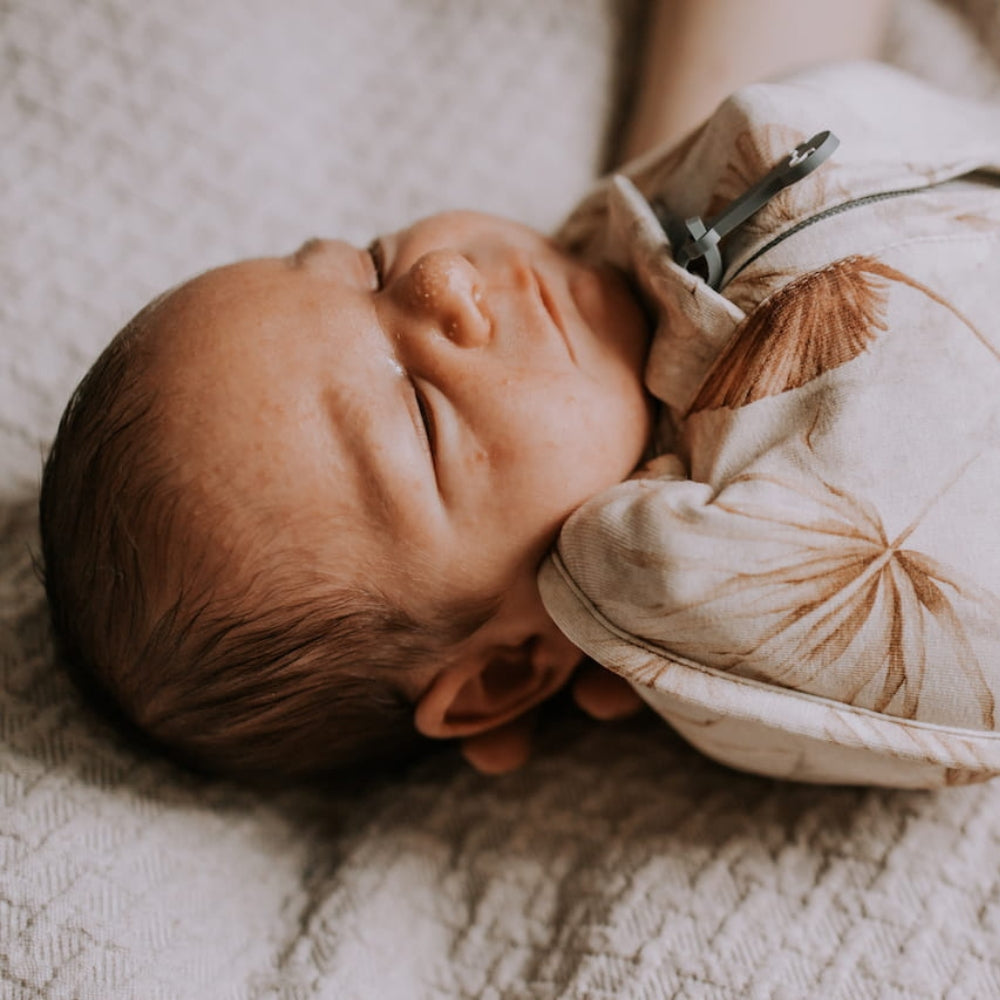 1a0801e8494b204fdf7a5c5f7647ad2a