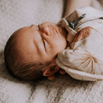 1a0801e8494b204fdf7a5c5f7647ad2a