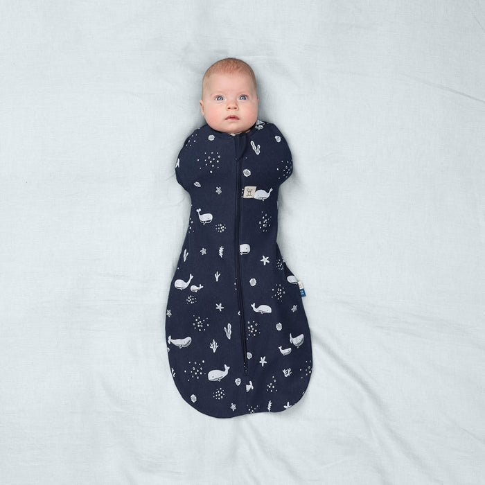 7ad1bbeaf1851fec90eb56cb7e55f2c8