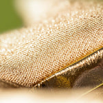 Lysbillede