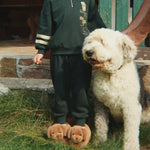 f19be4115455255faece494d91b6c40a