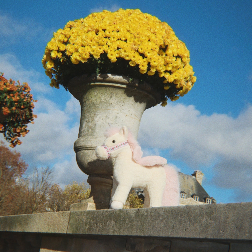 Lysbillede