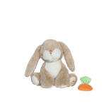 Lysbillede