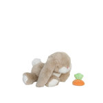 Lysbillede