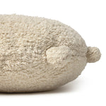Lysbillede