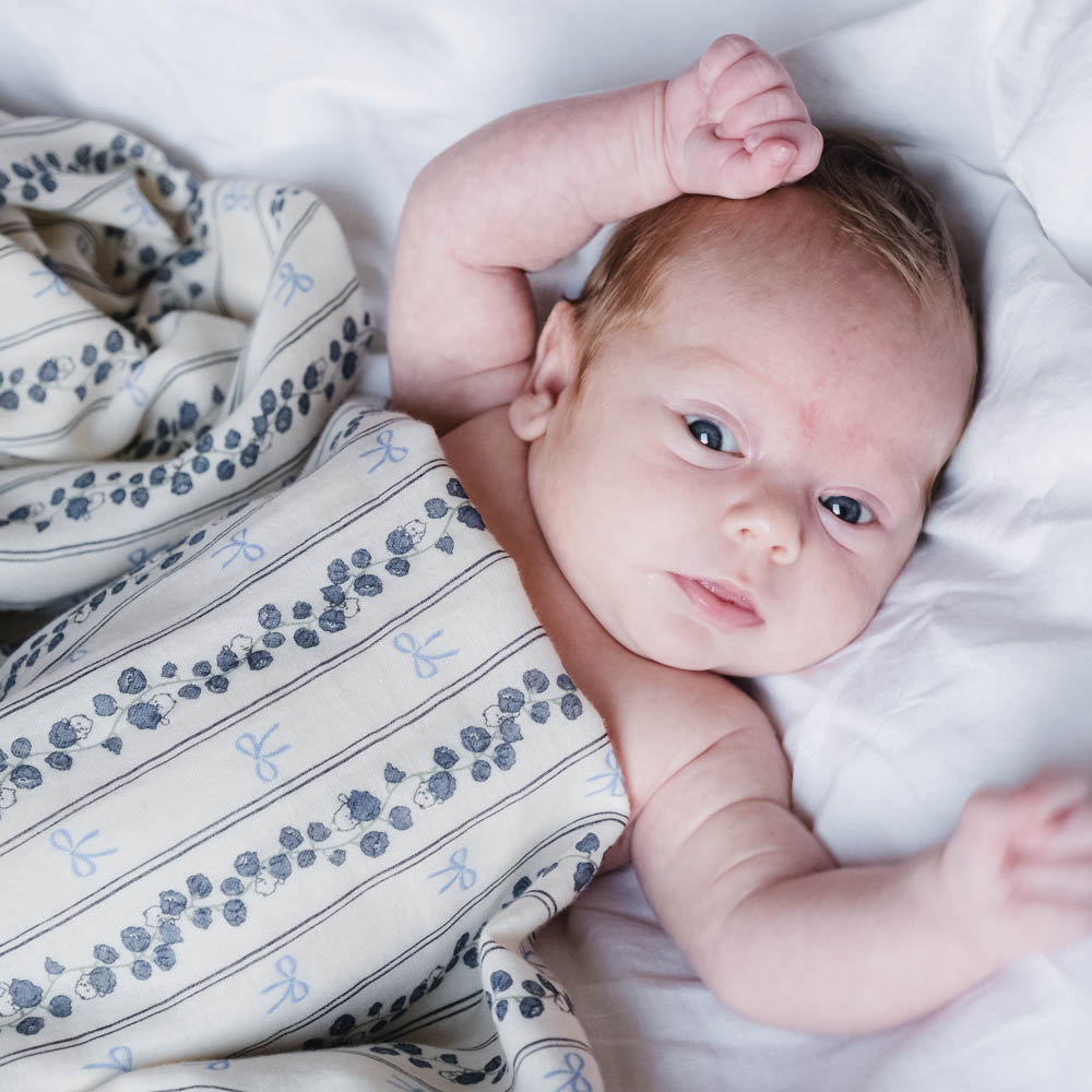 88cf177178c202acc4c9d797669e6f9f