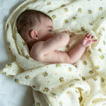 08dafa817718aba84493269a6f354405