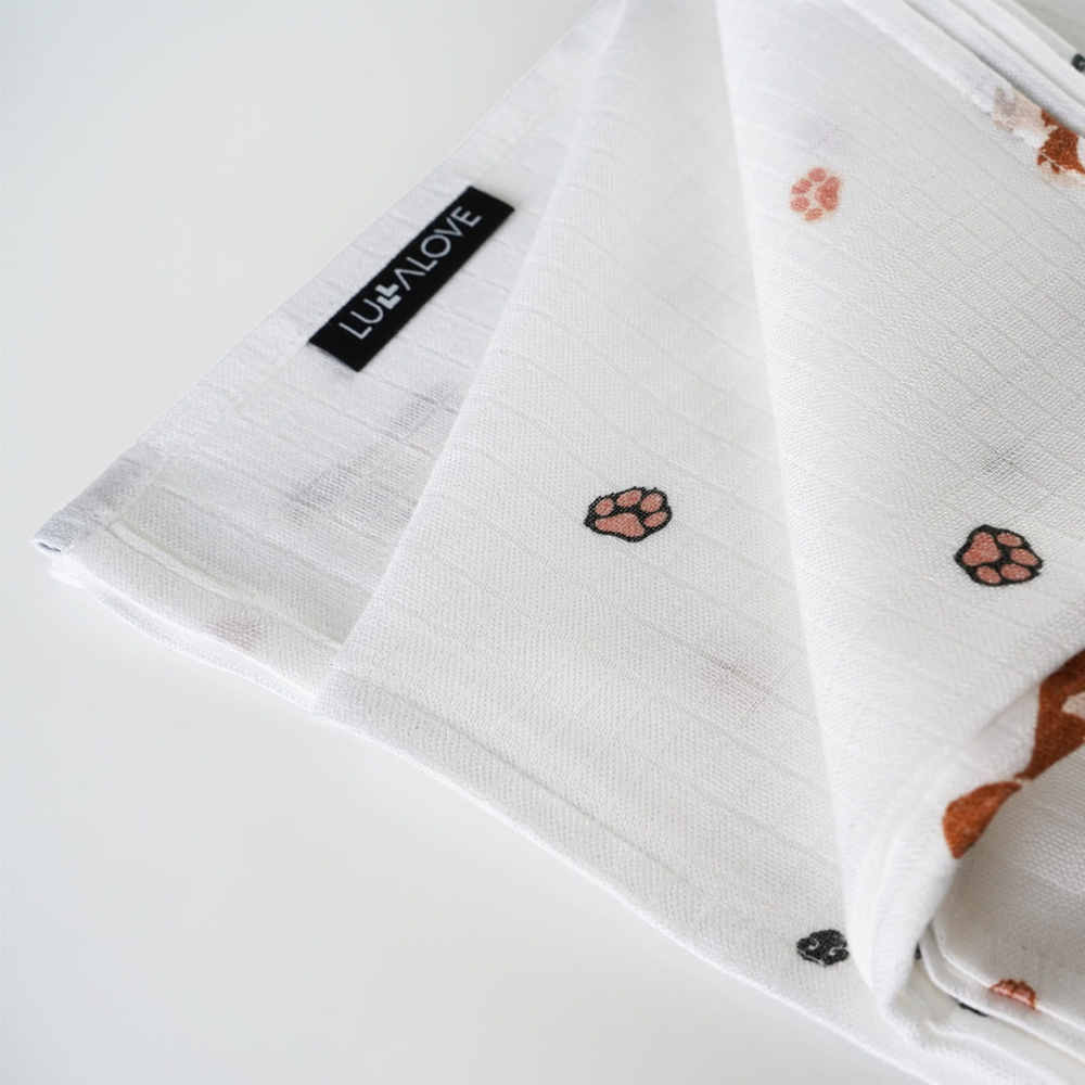 31aa67226bb7a0ff8783451959111205