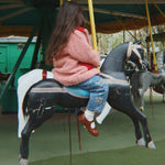 Lysbillede