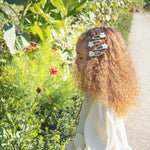 9e75243e63e302e581d9bb7cfb3b248a