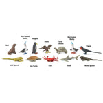 452909c910ff61864247a0193e9d4854