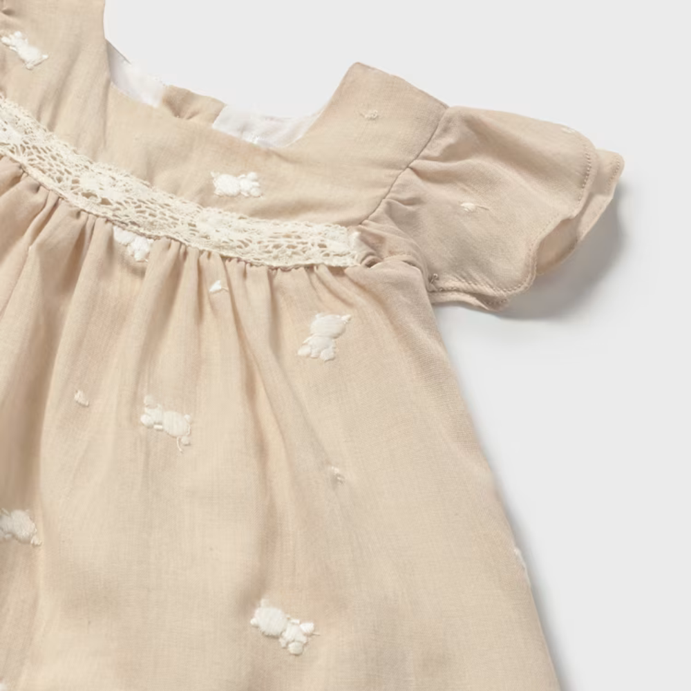 50ce1a321a6922b29af9f39c9cf64315